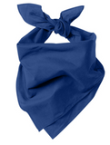 Cotton Bandanna Face Mask