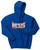 Danbury High School Soccer
