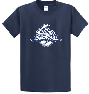 STORM 6.1 oz Cotton T-shirt PC61/Y