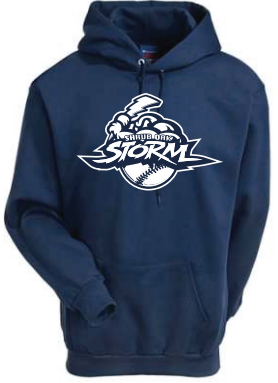 STORM Heavy Blend Hooded Sweatshirt 18500n